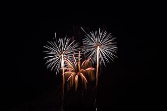 White and red fireworks exploding in a dark night sky
