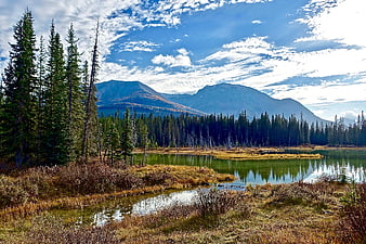 Serene Mountain Lake Surrounded by Pine Forest