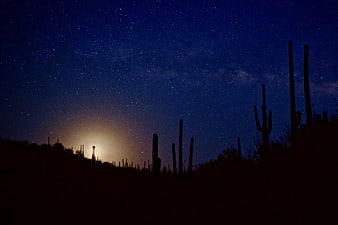 Silhouette of Saguaro Cacti Under Starry Night Sky with Moon
