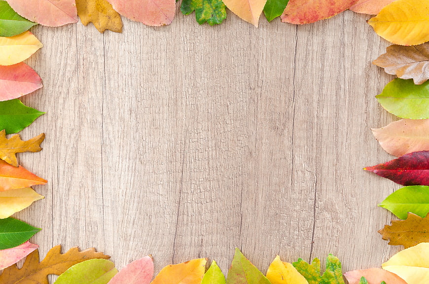 Autumn Leaves Border on Light Wooden Background