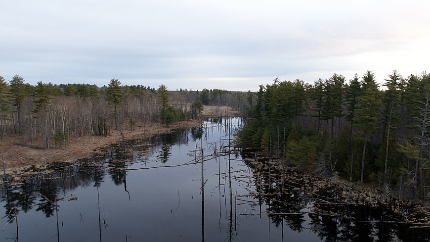 Aerial view of calm river winding through autumn forest
