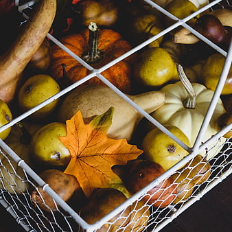 Autumn Harvest Basket with Pumpkins, Pears, and Maple Leaf