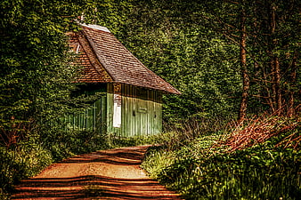 Rustic Green Wooden Hut In Lush Forest With Dirt Path