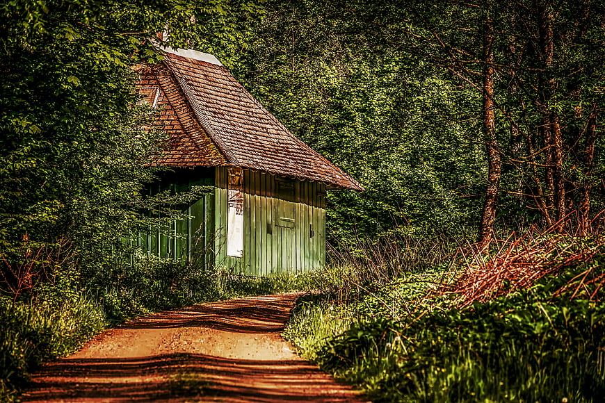 Rustic Green Wooden Hut In Lush Forest With Dirt Path