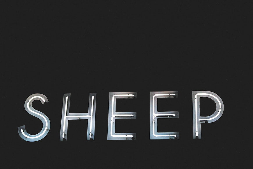 Neon Sheep Sign on Black Background