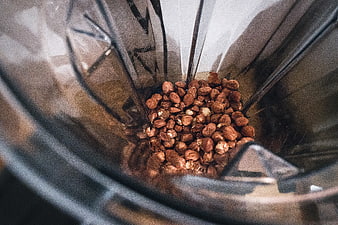Top-down view of hazelnuts in a blender jar