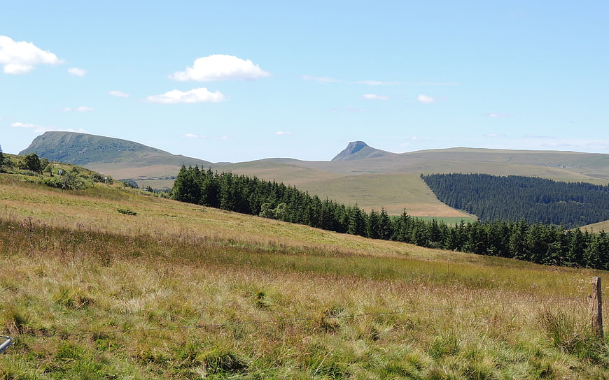 Rolling Hills and Forests in the Auvergne Landscape