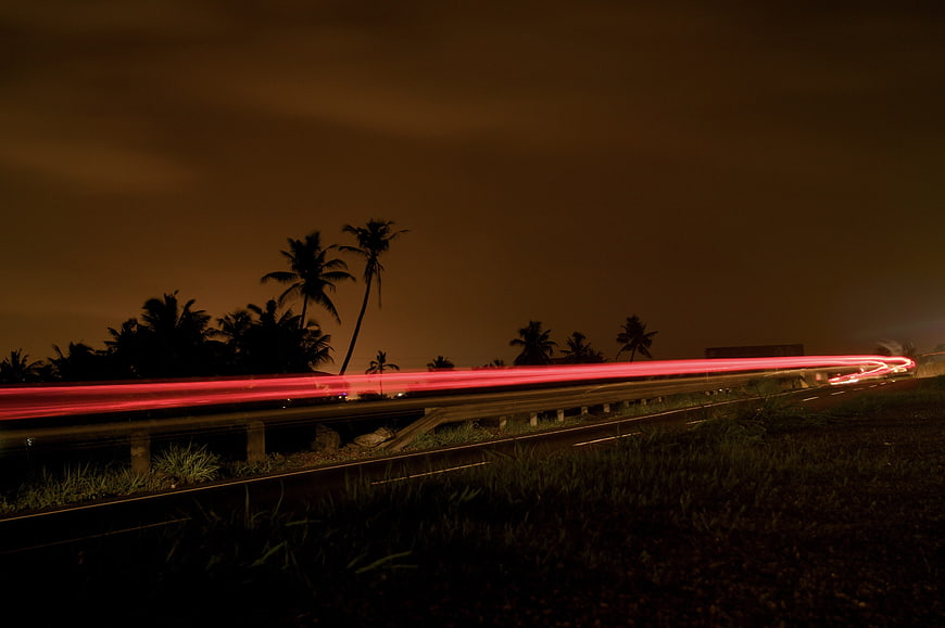 Red Light Trails on Highway at Night with Palm Trees