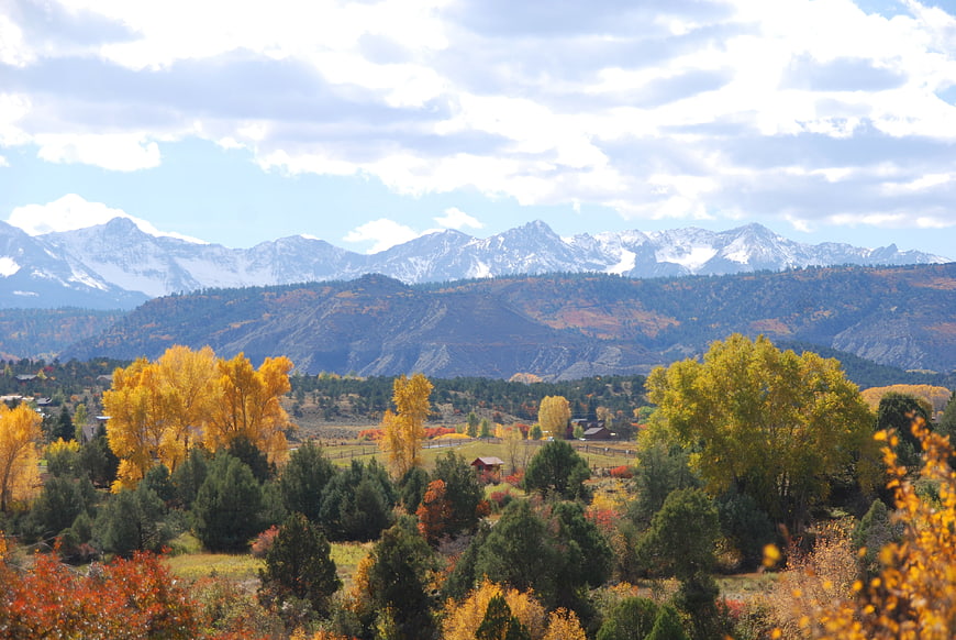 Scenic autumn landscape with golden trees and snow-capped mountains