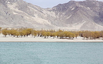 Serene turquoise lake with yellow trees and arid mountains