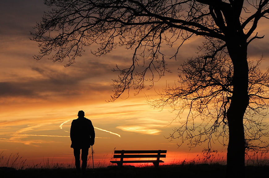 Silhouette of Man Walking with Cane at Sunset