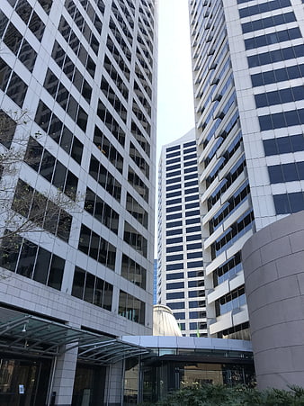 Low angle view of modern office skyscrapers in Sydney