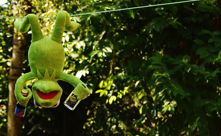 Kermit the Frog plush toy hanging upside down with bottles