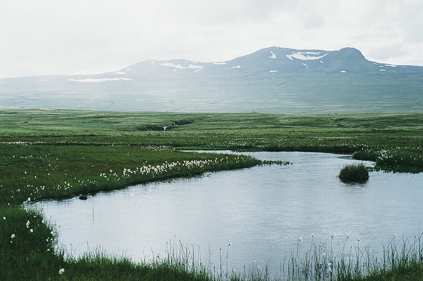 Serene Arctic Landscape with River, Cotton Grass, and Snowy Mountains
