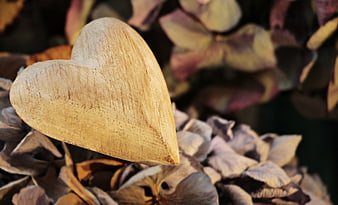 Wooden Heart on Dried Hydrangeas