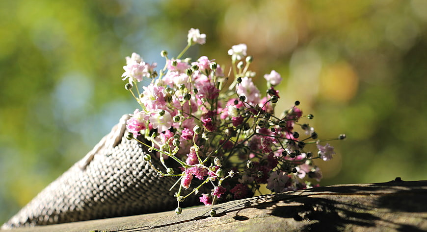 Pink Gypsophila Flowers in Woven Bag on Wooden Surface