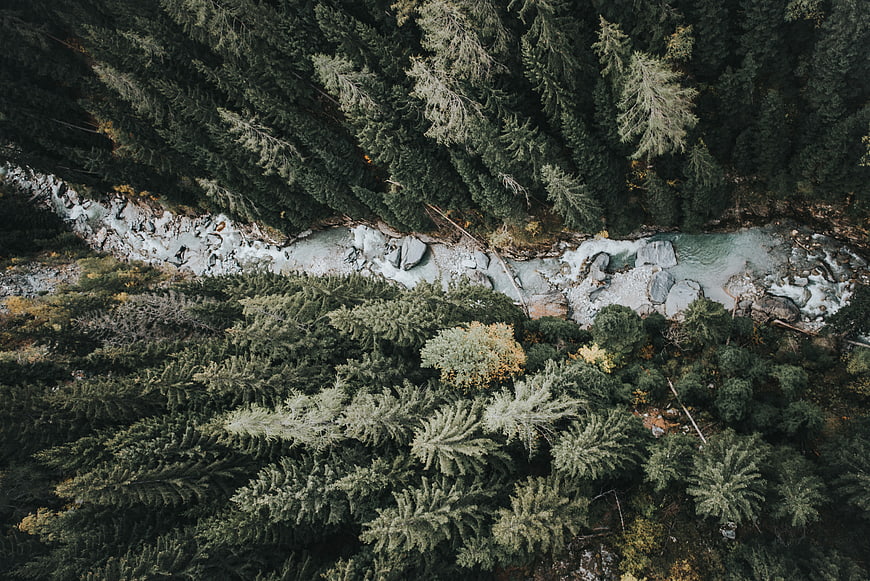 Aerial View of Glacial River Flowing Through Dense Pine Forest