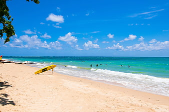 Yellow Surfboard on Sandy Beach with Turquoise Ocean