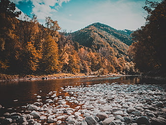 Serene Autumn River Landscape with Rocky Shore and Forested Mountains
