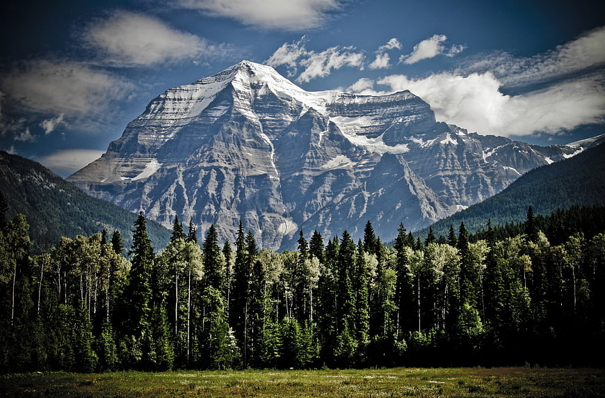 Majestic Mount Robson Snow-Capped Peak with Forest Foreground