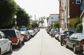 Sunny residential street with parked cars and palm trees