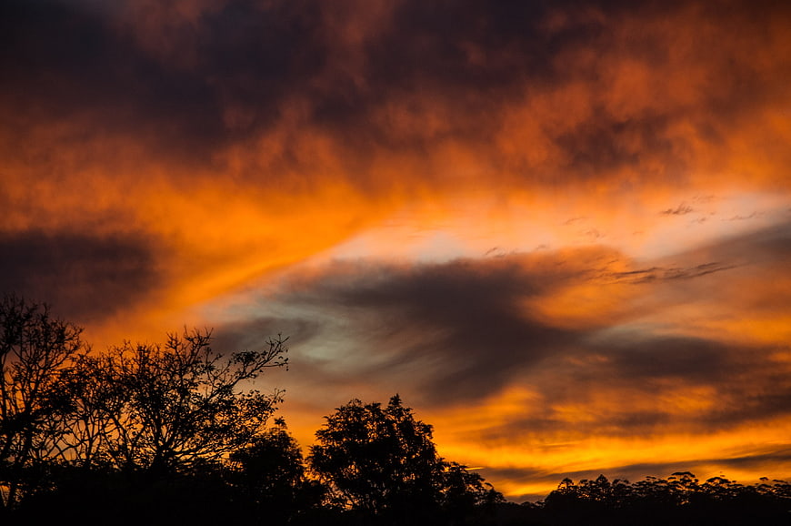 Dramatic Orange Sunset Sky with Silhouetted Trees