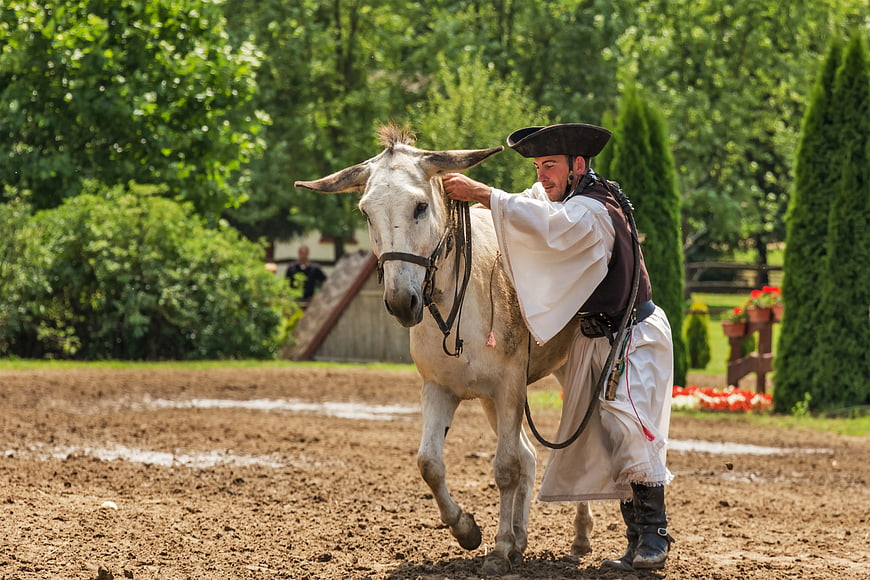 Man in Traditional Costume Walking with White Donkey