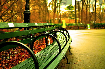 Green Park Bench in Autumn Central Park New York