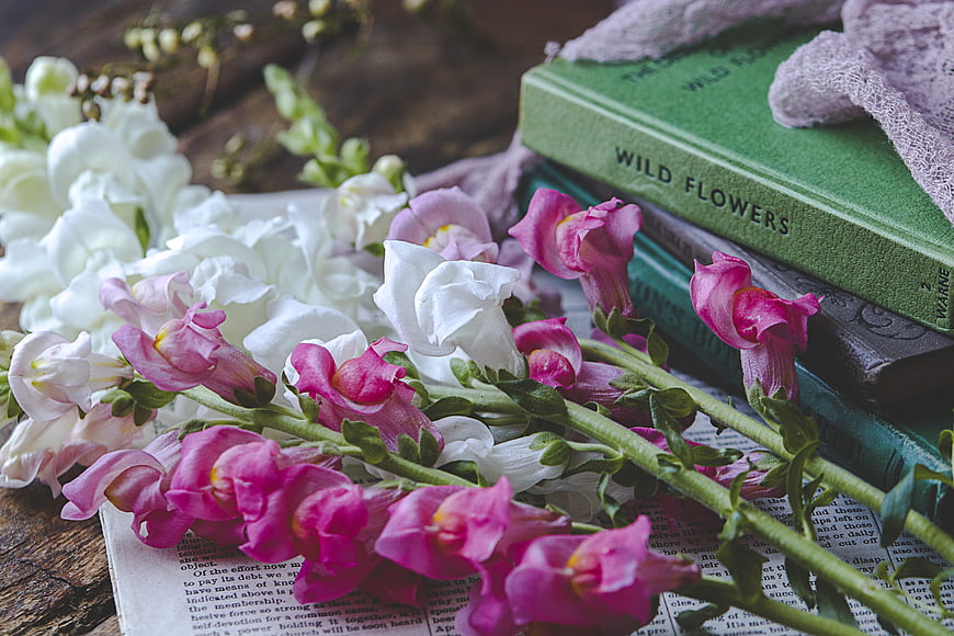 Pink and white snapdragons with vintage books on rustic wood