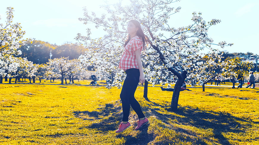 Pregnant woman walking in a park with blooming white trees