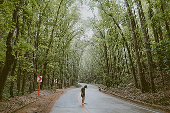 Man standing alone on winding forest road surrounded by tall trees