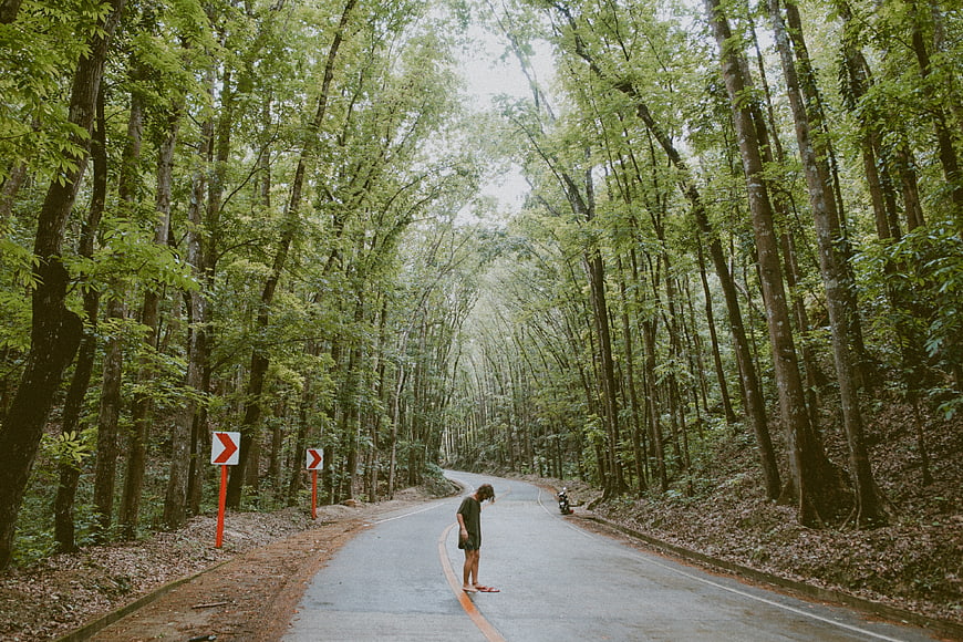 Man standing alone on winding forest road surrounded by tall trees