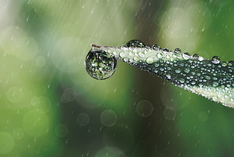 Macro shot of raindrops on a green leaf with bokeh background