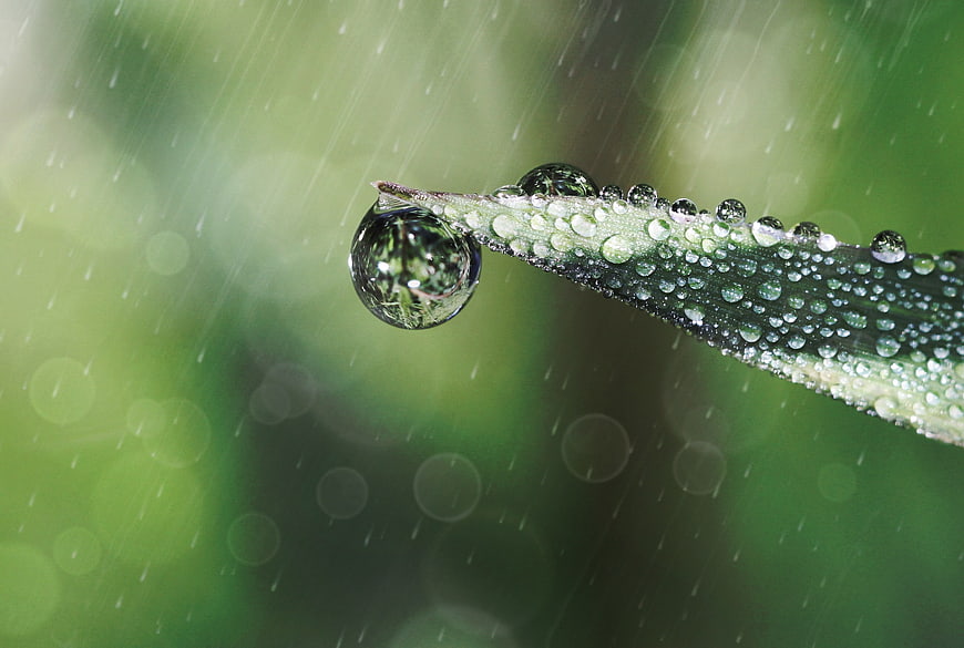 Macro shot of raindrops on a green leaf with bokeh background