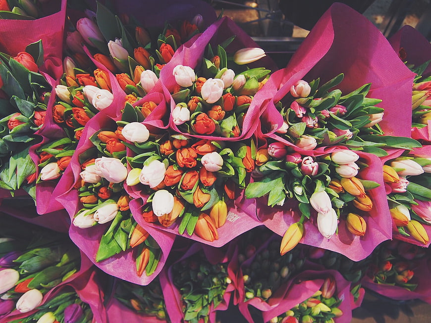 Colorful Tulip Bouquets Wrapped in Pink Paper