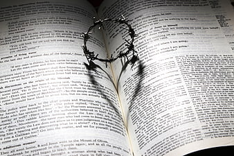 Crown of thorns on open bible pages