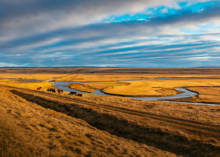 Golden Highland Landscape with River and Grazing Horses