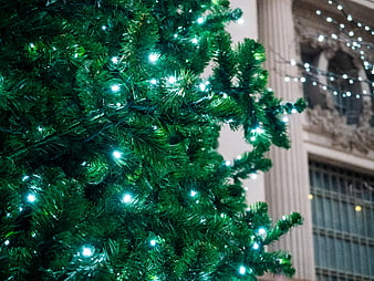 Close-up of Christmas Tree with Blue Lights in City