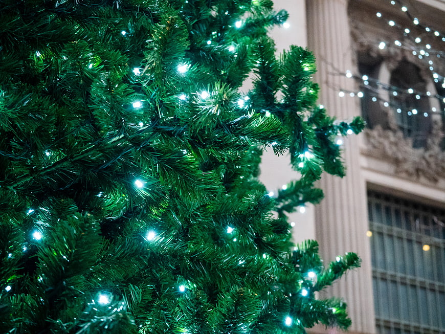 Close-up of Christmas Tree with Blue Lights in City