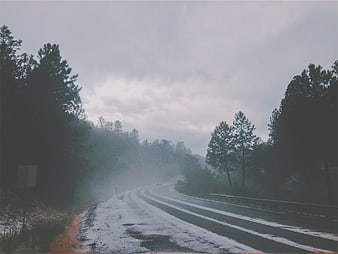 Winding snowy road through foggy pine forest in winter