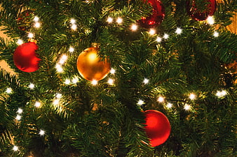 Close-up of Christmas Tree with Red and Gold Ornaments and Lights