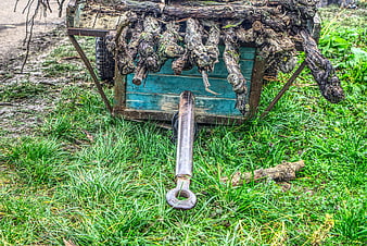 Old blue trailer loaded with uprooted grapevines in grassy field