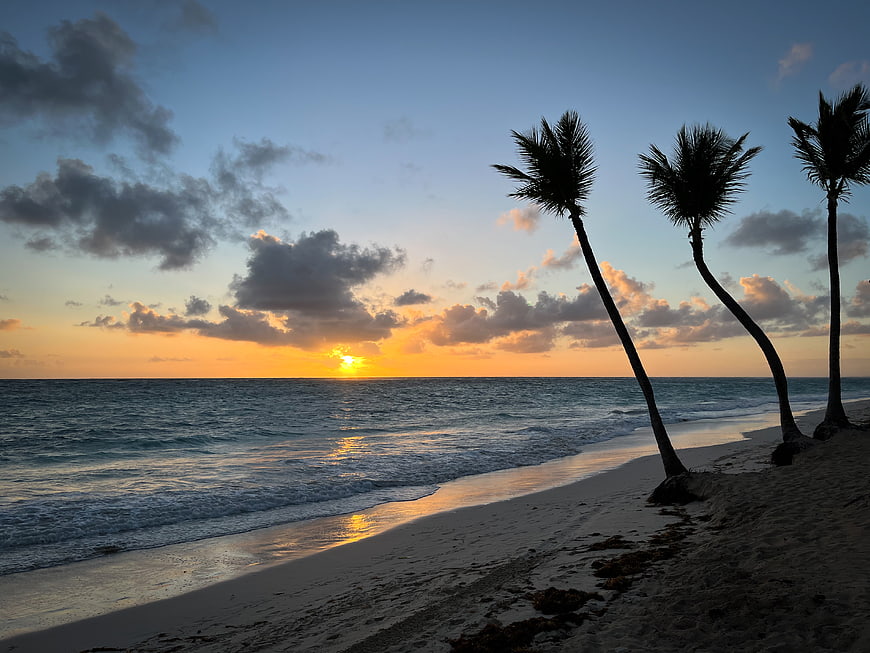 Tropical Beach Sunset with Silhouetted Palm Trees