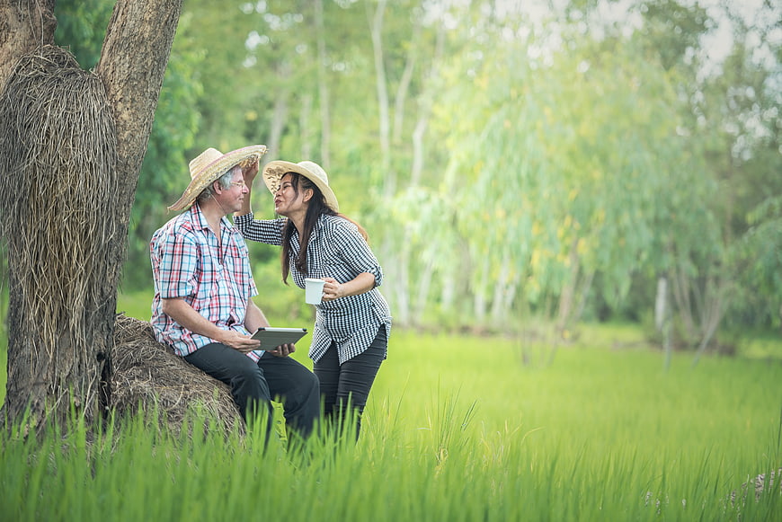 Senior Asian couple relaxing in rice paddy field