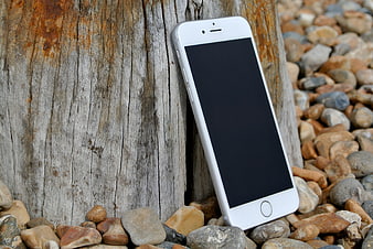 White Smartphone Leaning Against Weathered Wood on Pebble Beach