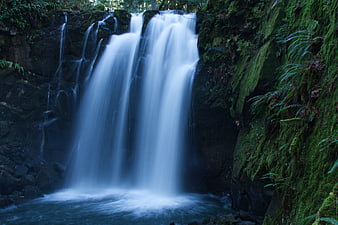 Serene Waterfall in Lush Green Forest with Long Exposure