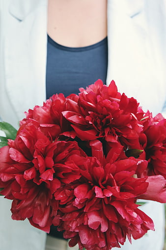 Woman holding vibrant red peony bouquet