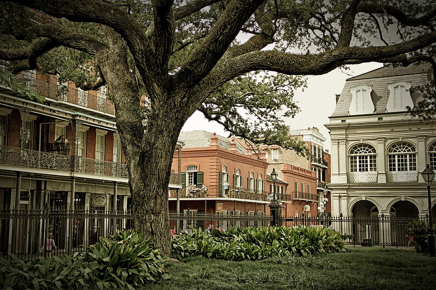 Historic New Orleans French Quarter Architecture And Park Tree