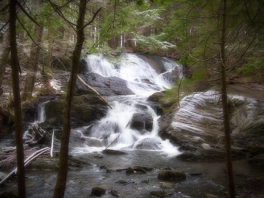 Serene Forest Waterfall with Flowing Stream and Trees