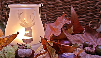 Autumn still life with deer lantern, leaves, and acorns